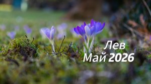 Прогноз для Львов на Май  2026