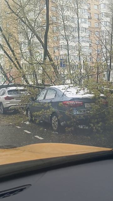 ЖАЛЬ ХОЗЯЕВ