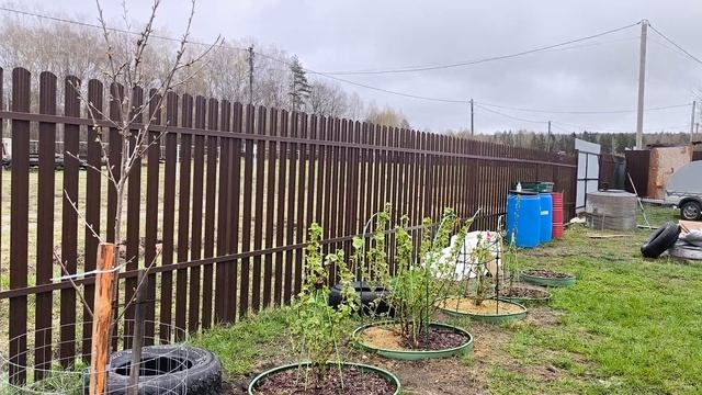 Моя Жизнь в Деревне, МОИ ПРАВИЛА 😁😘