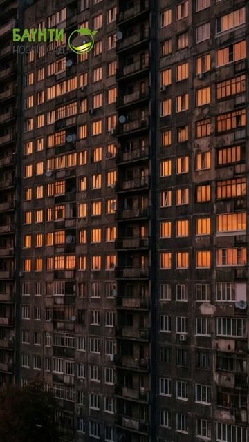 Никогда не переезжайте за город