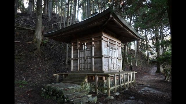 Япония. Спуск с горы в Йосино.