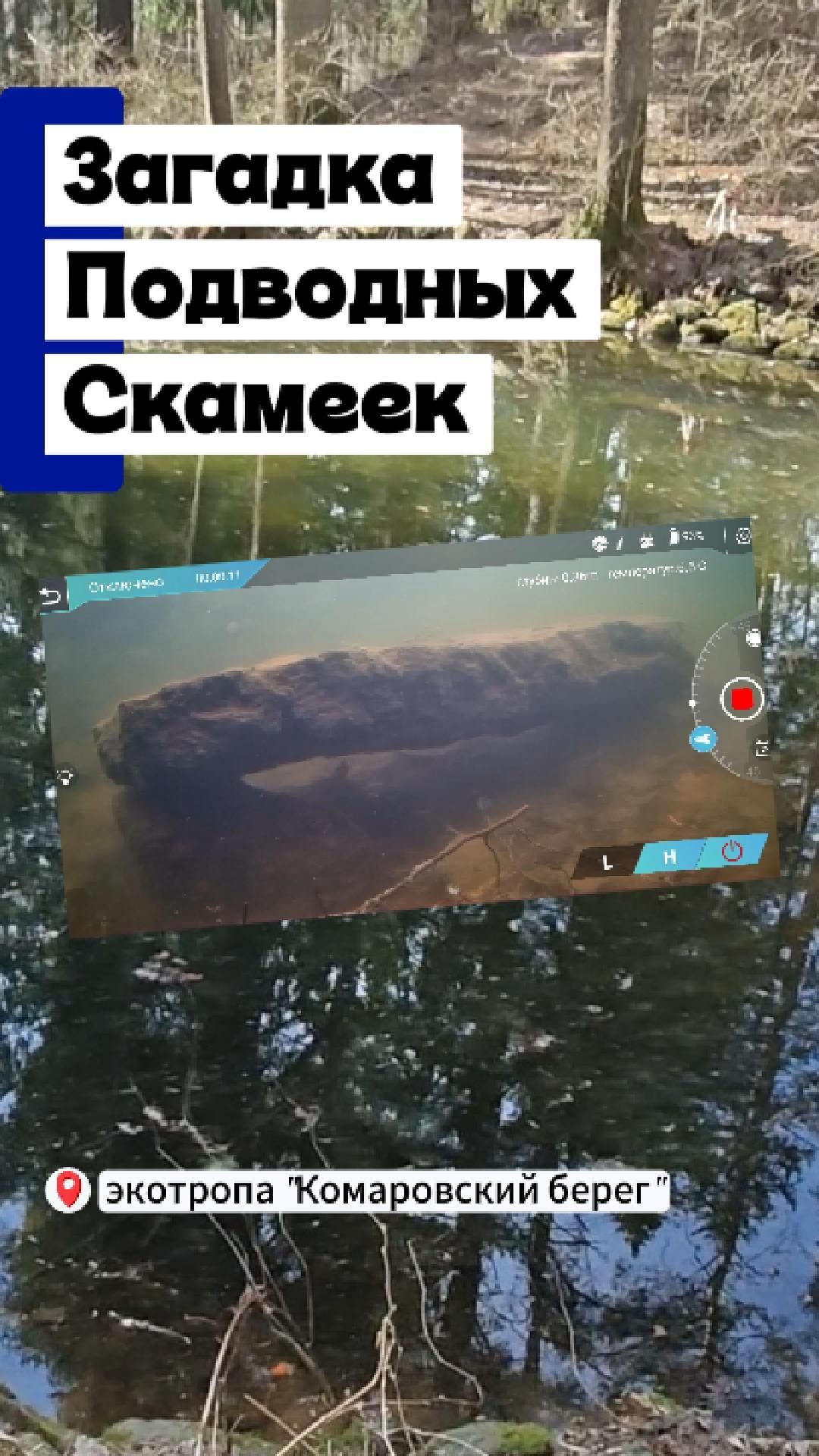 Загадочные скамьи в водоёме на экотропе Комаровский берег