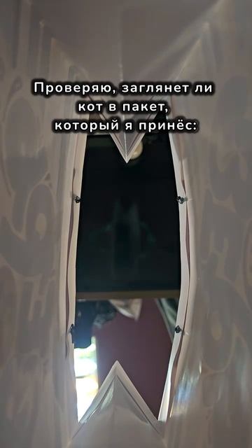 Кот в мешке