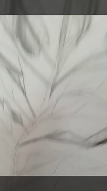 VID20260429163834лалалвьвьвл