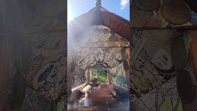 1000016599.mp4Жизнь кормушки.29.04.2026г.