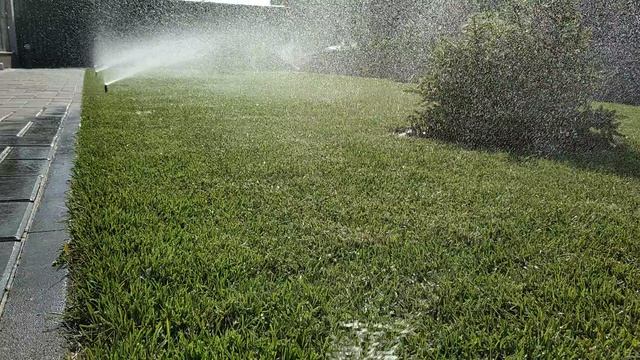 Ситамы полива под ключ