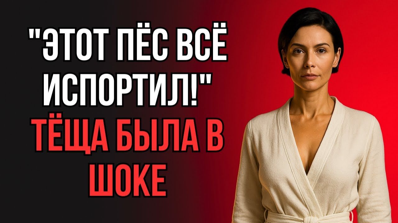 КОГДА СОБАКА МЕШАЕТ СПАТЬ НО ДЕЛАЕТ ВЕЧЕР НЕЗАБЫВАЕМЫМ...