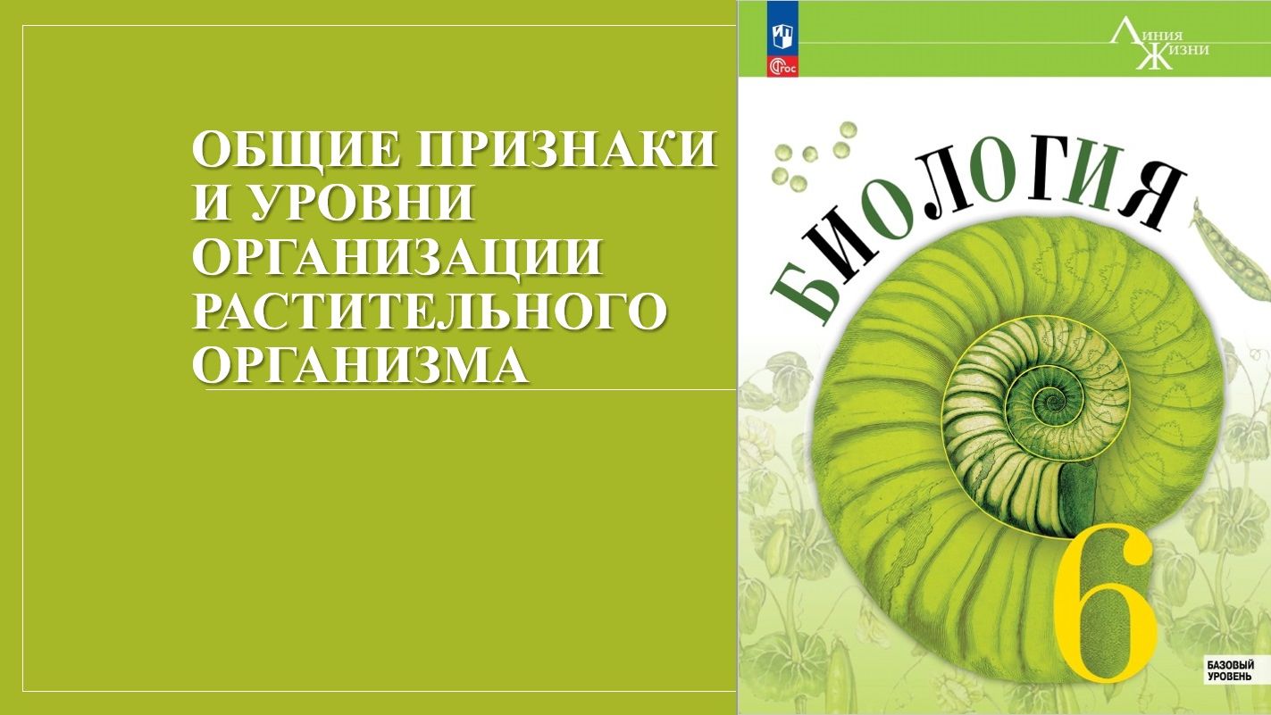 Урок 2. Общие признаки и уровни организации растительного организма