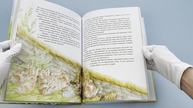 Питер-кролик и другие ил. Хуамен Студио