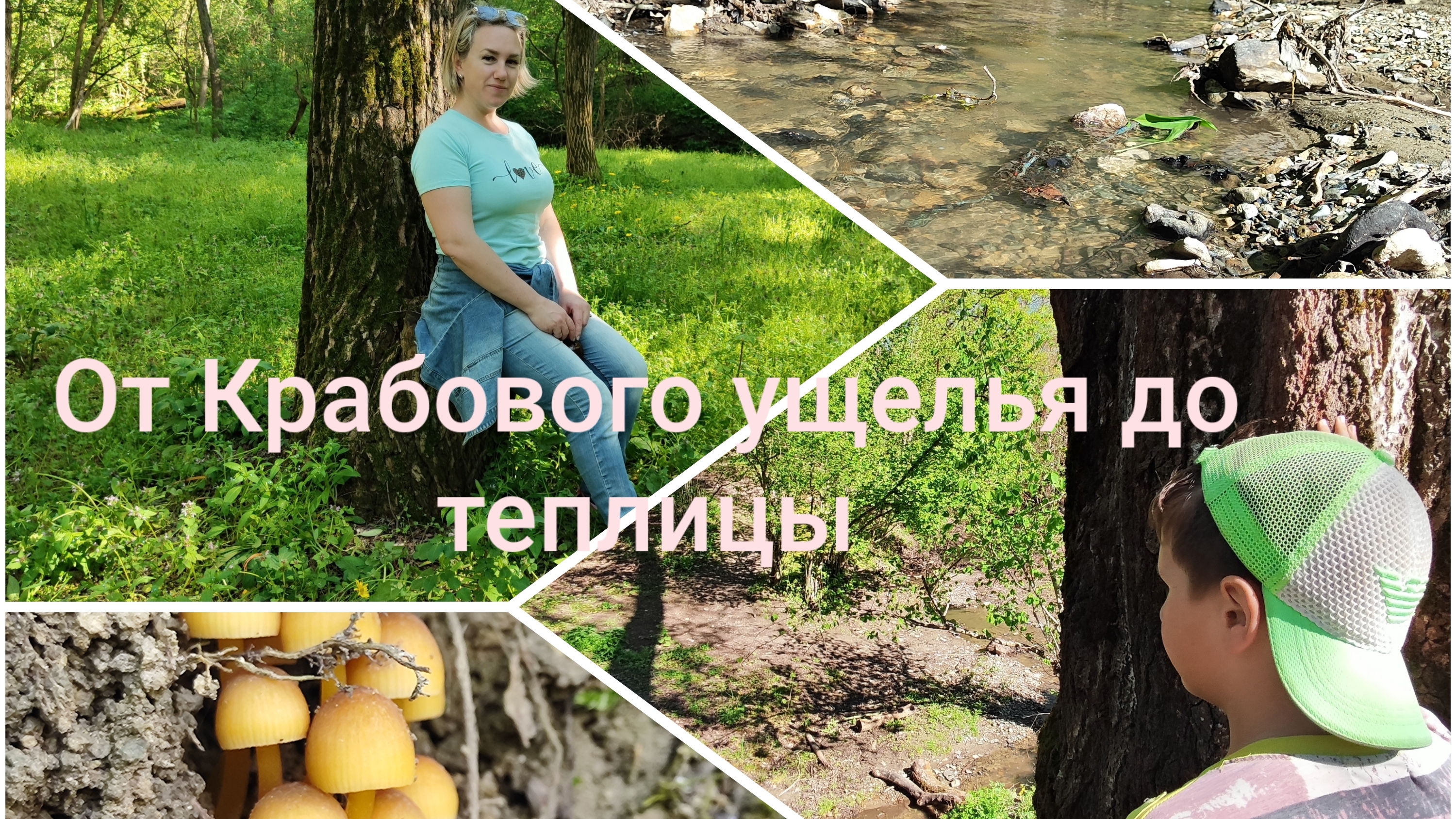 Наша жизнь на Кубани: от Крабового ущелья до теплицы 🌳🍅