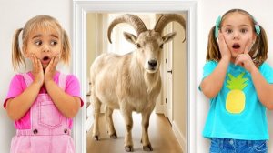 Алиса узнает о сельскохозяйственных животных, их звуках и других забавных историях для детей!