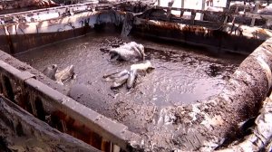 ФАКТЫ. Выпуск от 29.04.26