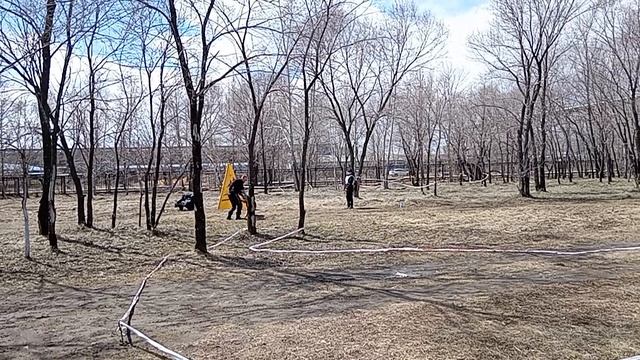 2 Отл. СС ТАВОР с Хехцира +++ №19. КОМСОМОЛЬСК-НА-АМУРЕ 26 апреля`26 Моно немецких овчарок