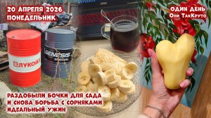Вот это бочки!!! Борьба с сорняками продолжается. 20 апреля 2026. Дни с Олей ТакКруто