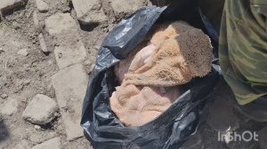 Что день грядущий приготовил🤔 обработка от муравьев🐜