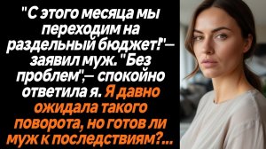 Жизненные истории/Мы переходим на раздельный бюджет! - заявил муж
