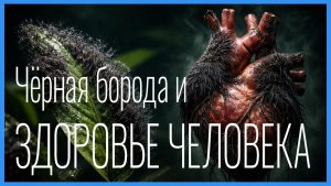 Водоросли Чёрная борода, Вьетнамка и Здоровье человека: Что общего?