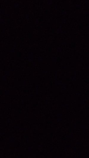 транслейшин