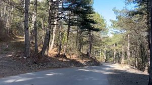 Ялта. По дороге от смотровой площадки «Серебряная беседка». Бахчисарайское шоссе. 28.04.2026. Крым.