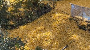 Скрытая Япония. Исследуем пейзажи Вакаямы, похожие на Гибли, города Онсэн и местную кухню