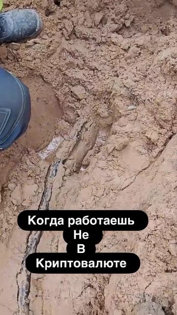 Вот Максим видишь