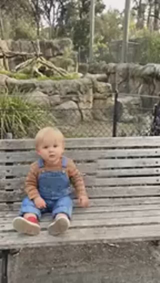 Актёры крайне милой комедии Младенец на прогулке ранее и сейчас 