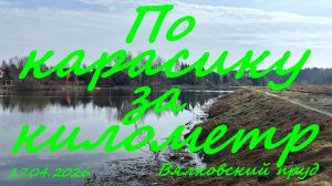 По карасику за километр. 17.04.2026. Вялковский пруд. д. Вялки. Рыбалка в Подмосковье.