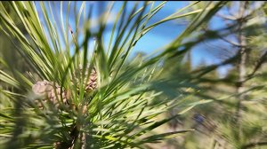 Вести-Томск, выпуск от 28.04.2026 09:30