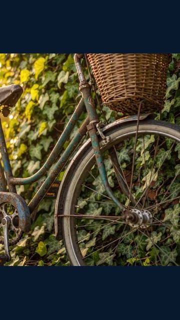 старый_велосипед вновьвжизнь перекраска велофанаты второе_дыхание ретро