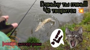 КГ 3 ТОЧНО ЕСТЬ!ФРИ РИГ РАКИ/ДЖИГ/РЫБАЛКА НА СПИННИНГ ЛОВЛЯ ЩУКИ