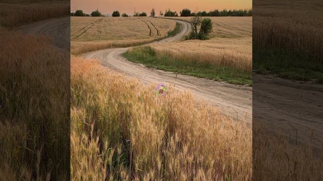 Вряд ли  Copyright: Бронислав Сычёв 2022
Свидетельство о публикации 122061002325