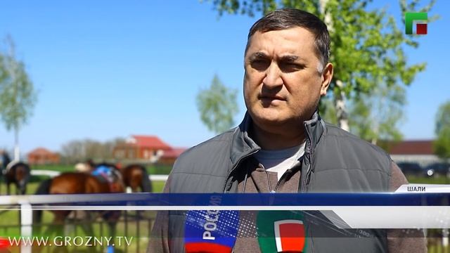 В Шали прошли конноспортивные соревнования