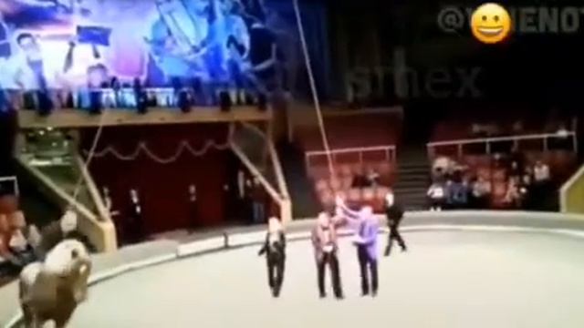 Сходила с пьяным мужем в цирк