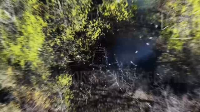 💥В Харьковской области уничтожен очередной миномёт противника