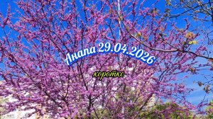 Анапа 29.04.2026 коротко