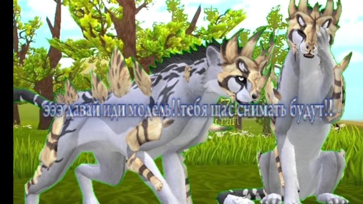 Обзорчик на гепарда!!