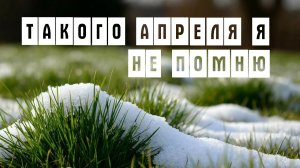 Конец Апреля а у нас ЗИМА !?