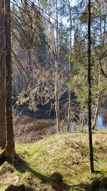 VID_20230511_165238.mp4