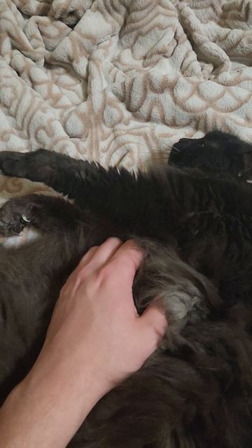 Кайфовый вечер