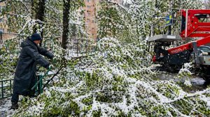 Снегопад не прекращается третьи сутки в Москве. Коммунальщики борются с последствиями стихии