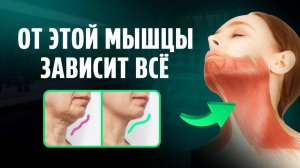 ПРОВЕРЬТЕ СЕЙЧАС эту мышцу, чтобы избежать дряблой шеи, второго подбородка и брылей