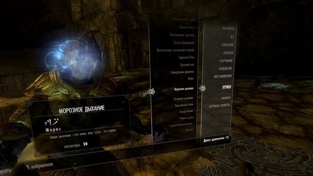SKYRIM VR