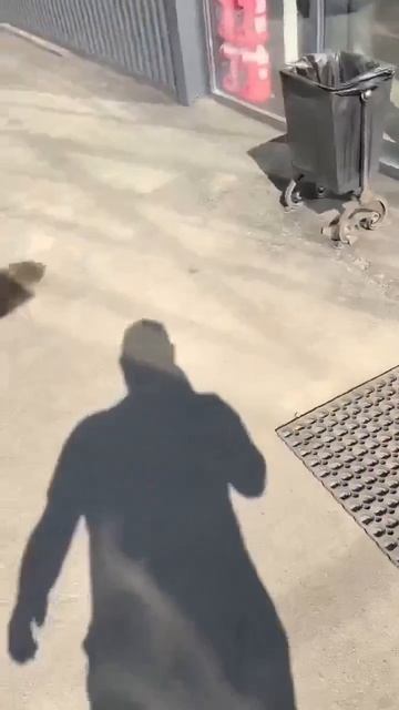 Видео от HackAvto – Лайфхаки и фишки для авто