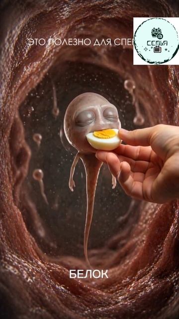 ПОЛЕЗНОЕ ДЛЯ СПЕРМЫ