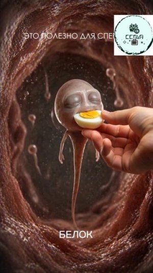 ПОЛЕЗНОЕ ДЛЯ СПЕРМЫ
