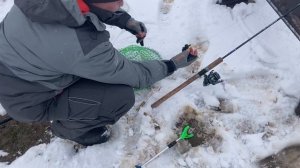 поимка форели на фидер