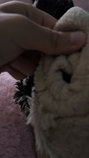 Просто видео)