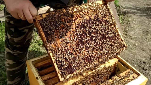 Важные действия между холодами. Непонятная холодная весна 2026 года.