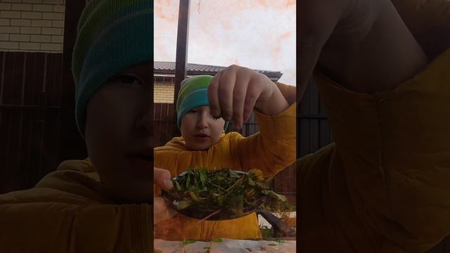 дегустация своего блюда