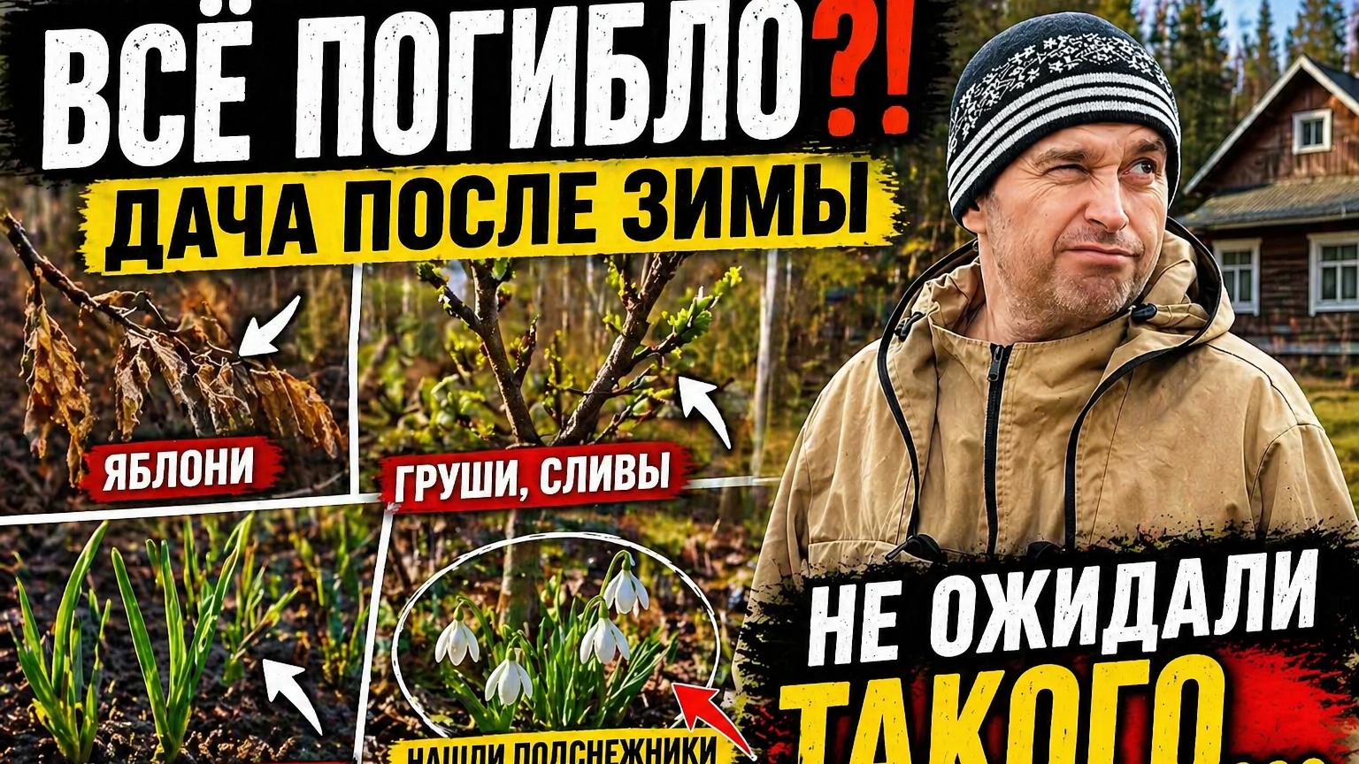 Что стало с садом после зимы? 😱 Обзор дачи и находка в лесу